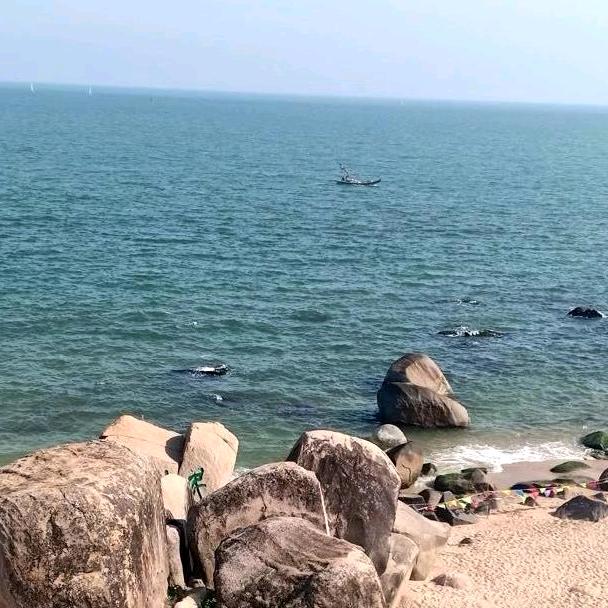 红🌹🌹玫🌹🌹瑰🌹🌹