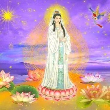 静心菩提