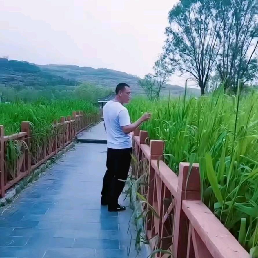 红尘有你