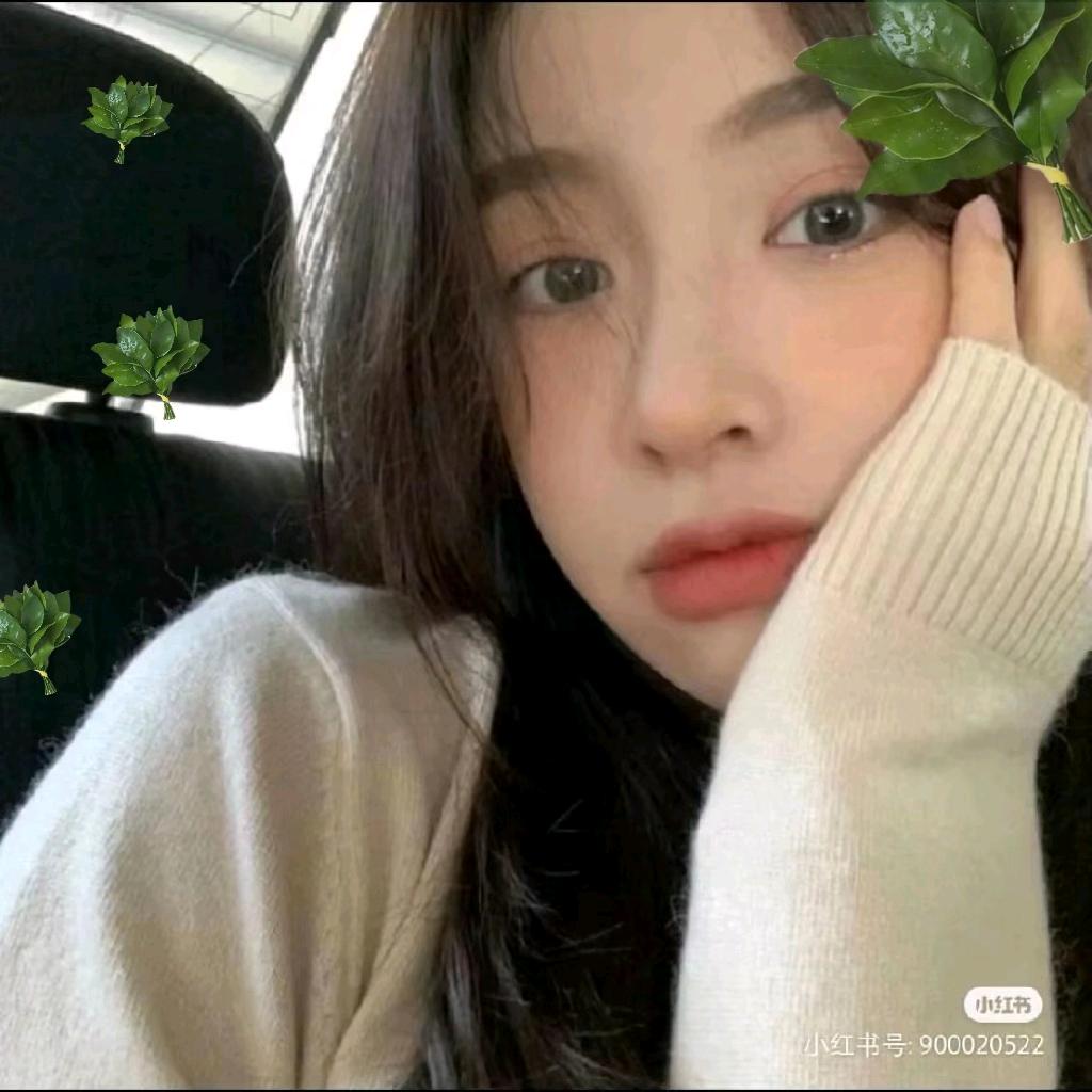 不知名的L.