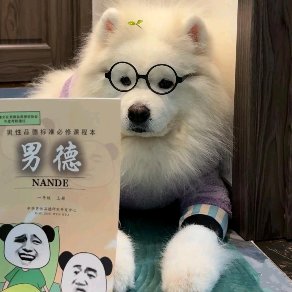 九点准时睡ꉂ ᳐˶ᵒ ᵕ ˂˶ ᳐ฅ