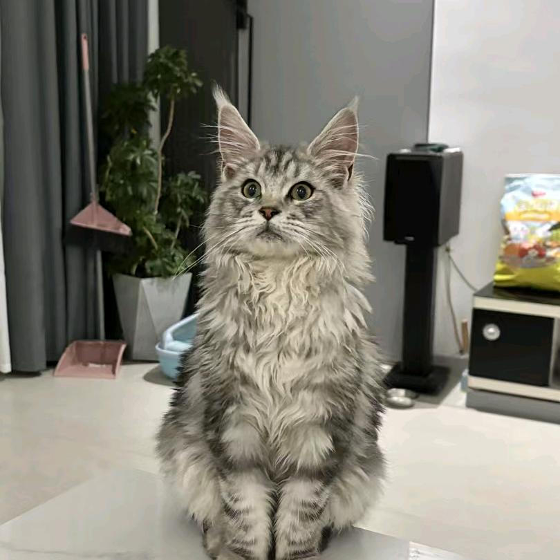 小英。