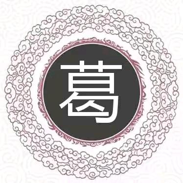 上海ICAR华迪优技术专家