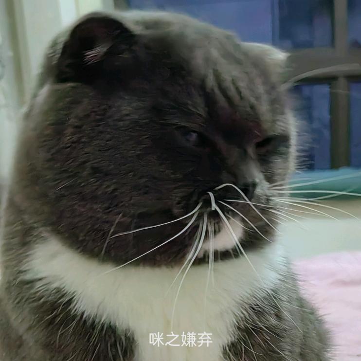 王