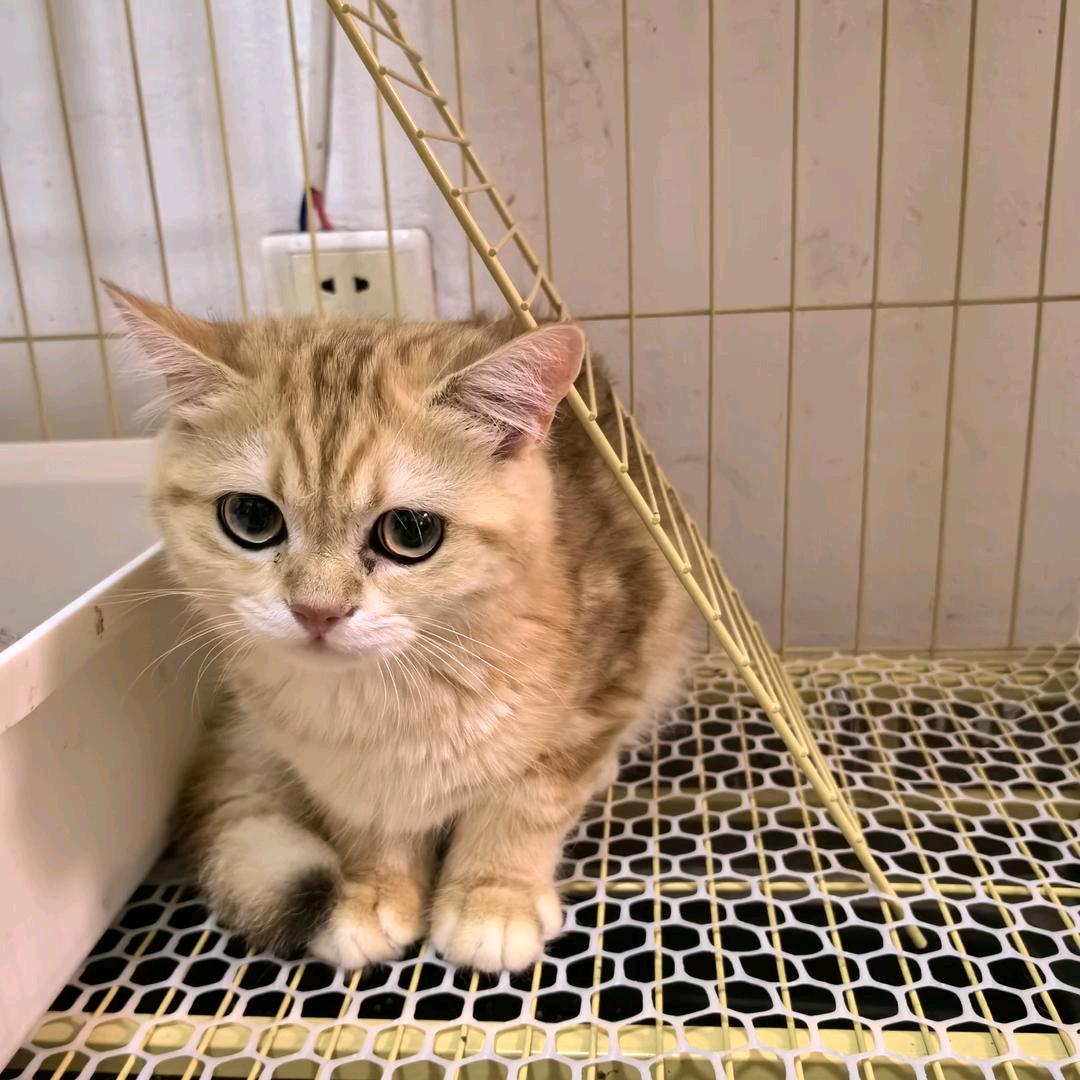 看风景的人(ˆ(oo)ˆ)