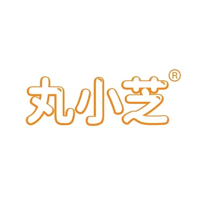 丸小芝