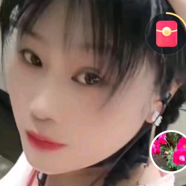 《慧》智兰心