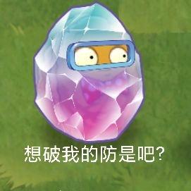 小方爱吃瓜