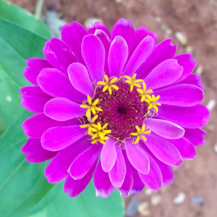 百🌈事㊗️可💕乐🤪᭄