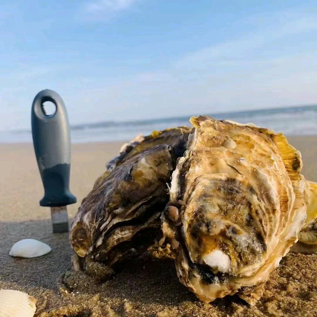 江北刘金岩水产经营部