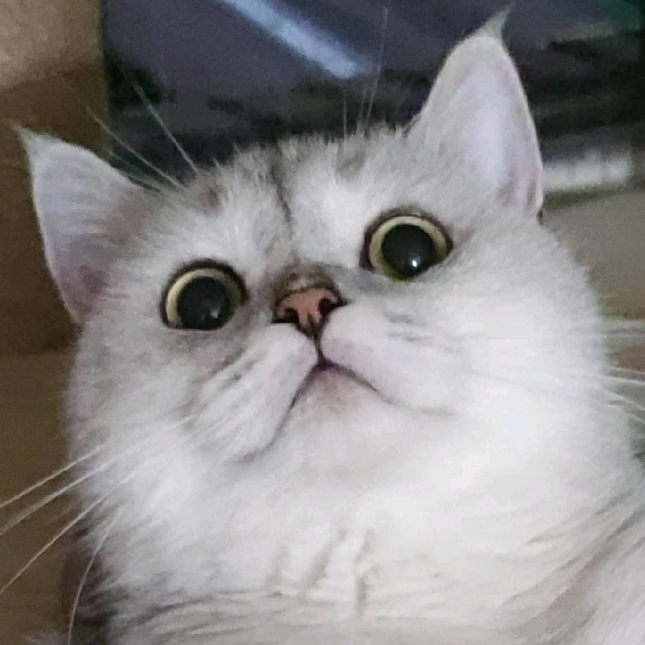 蒙娜丽涛的微笑