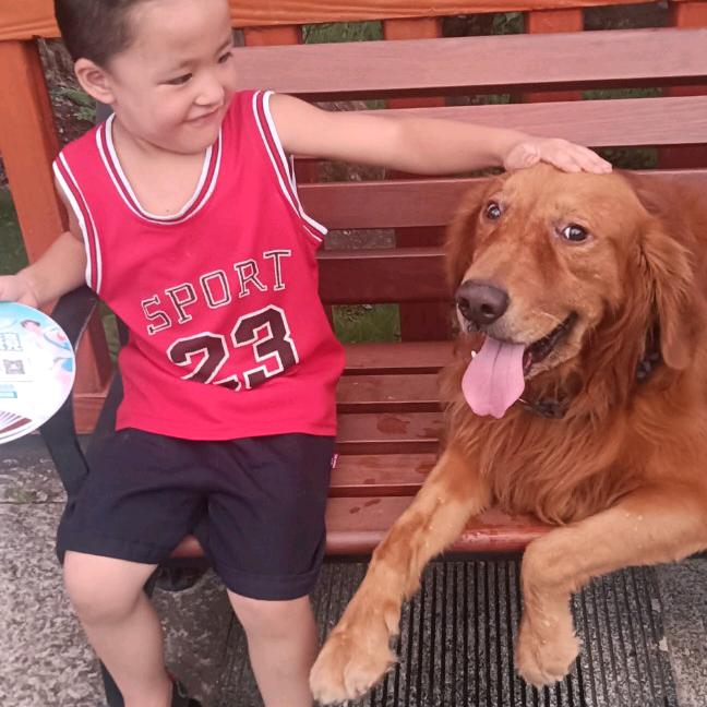 光明似箭，曰月如梭