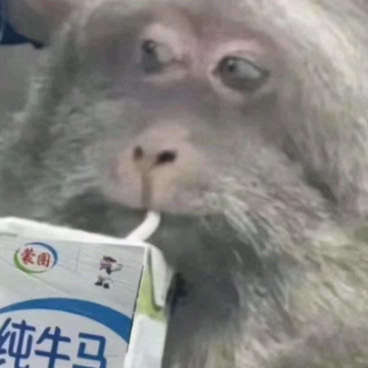 言身寸