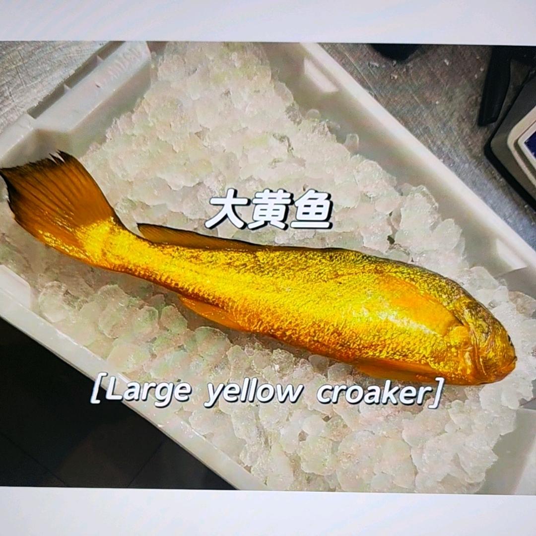 大陈活黄鱼陆上基地