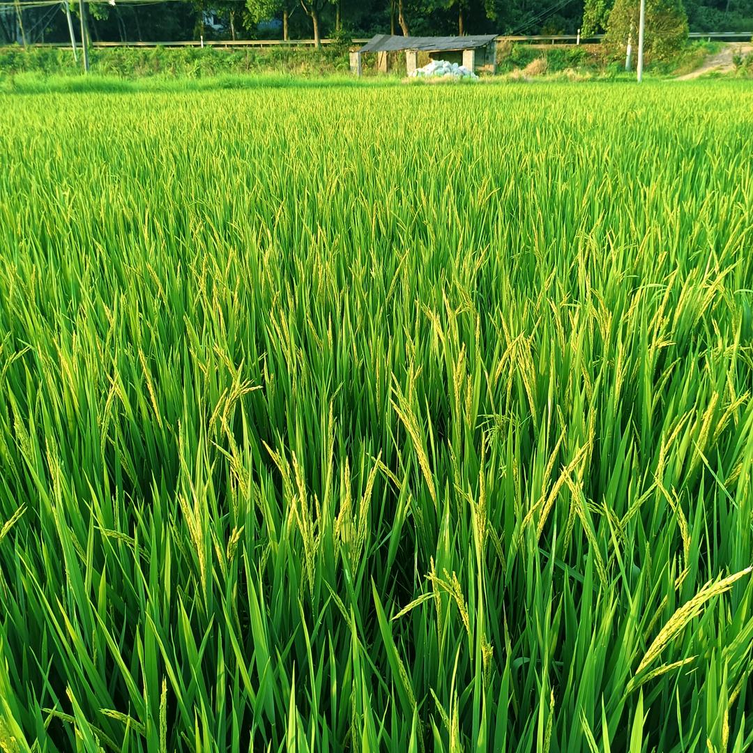 我要的扭动力要大了