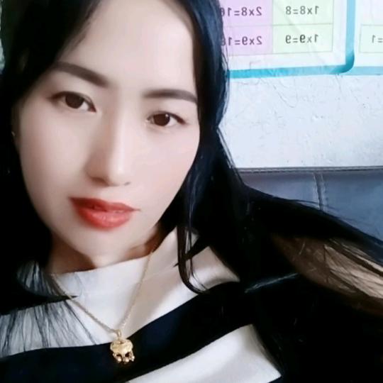 小菊首播