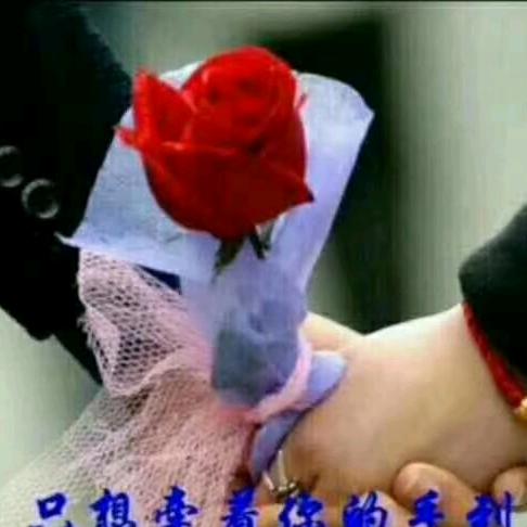 @💞适而可止♥(｡￫v￩