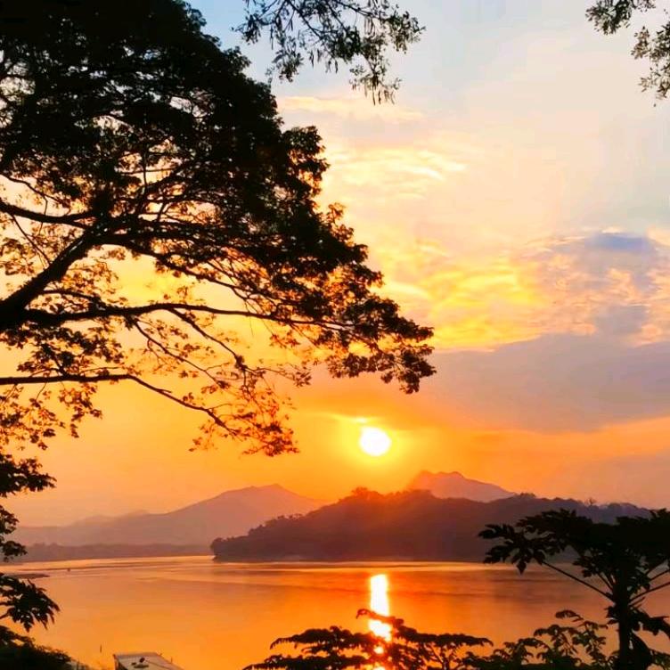 苦海