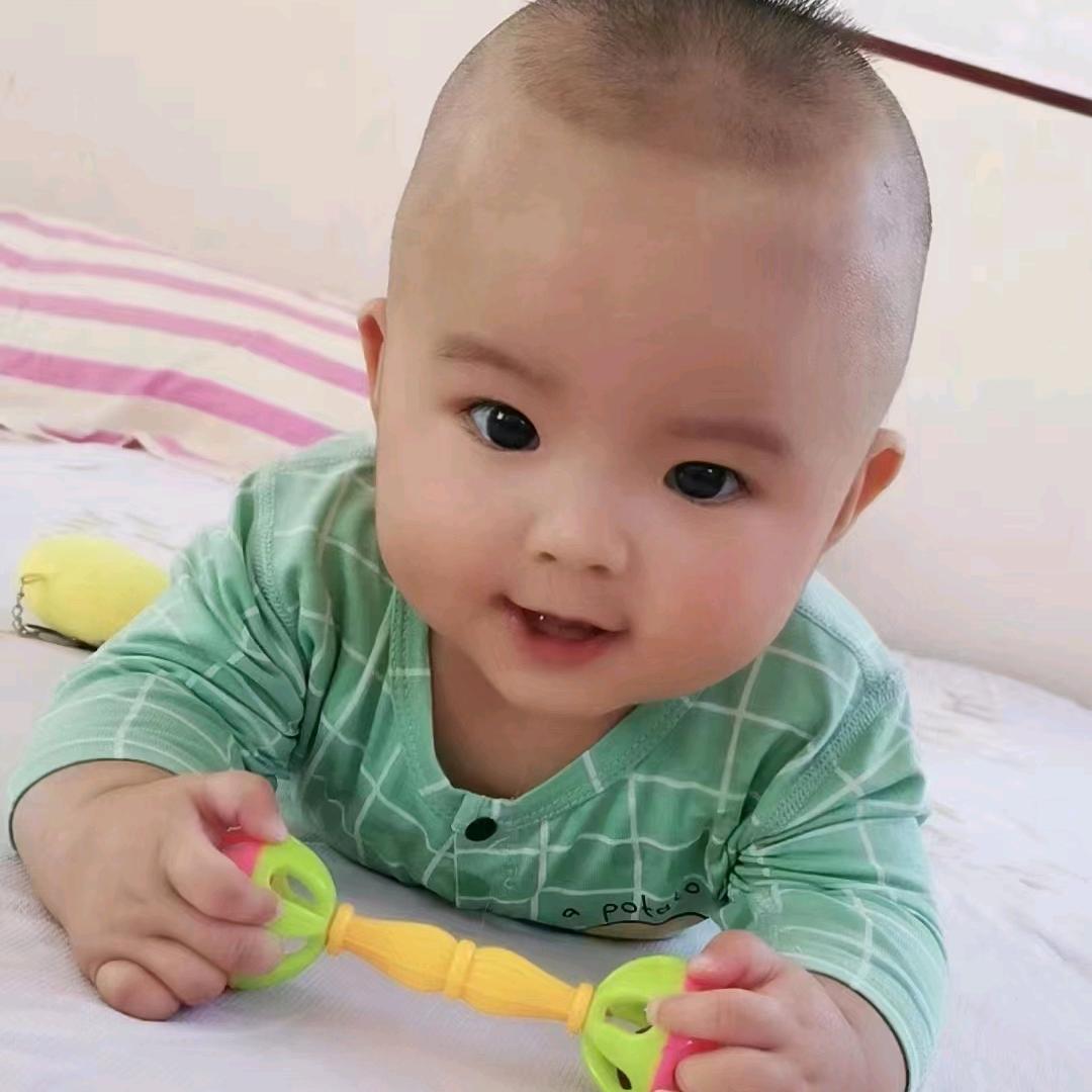腾飞吧兔子
