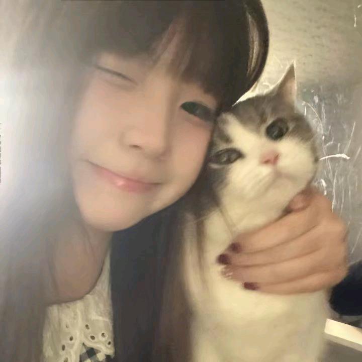 i歆