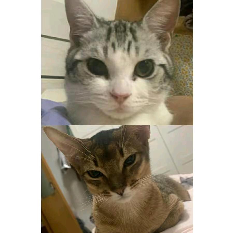 花毛一体♡