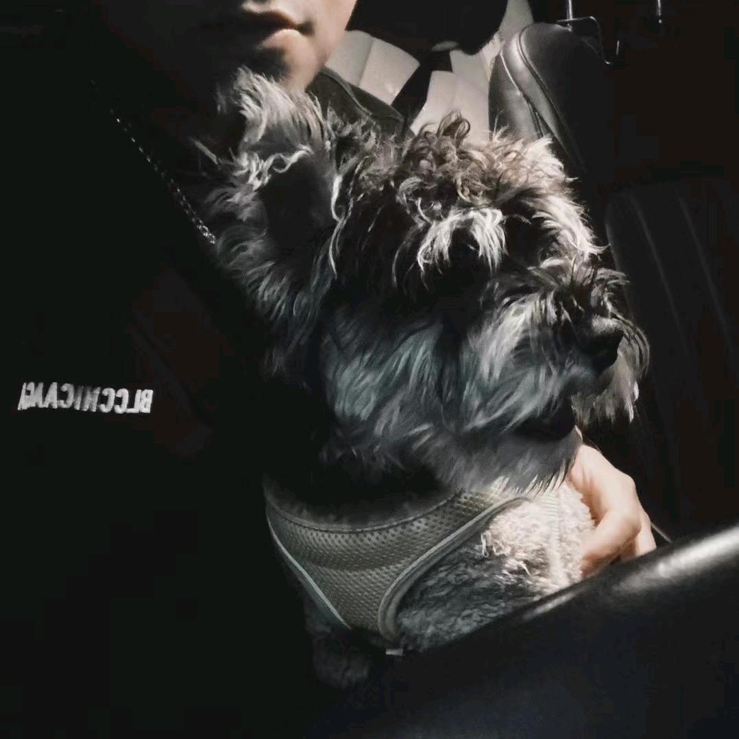 保险丝