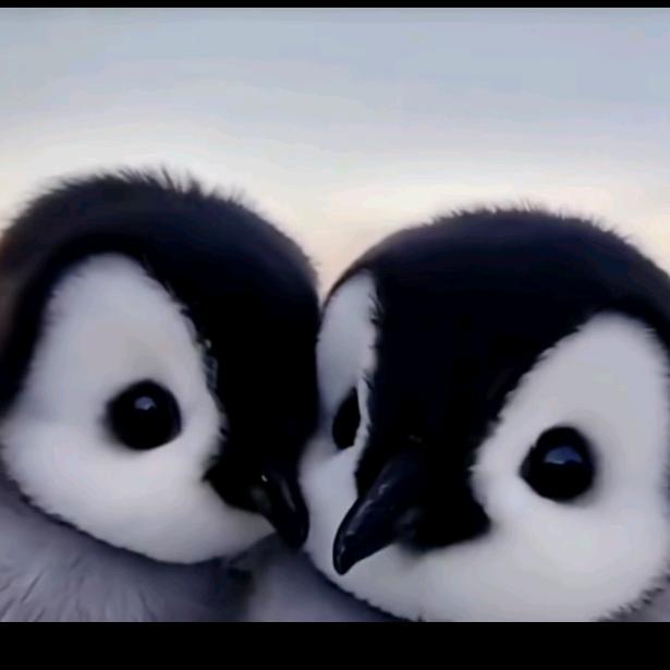 她说