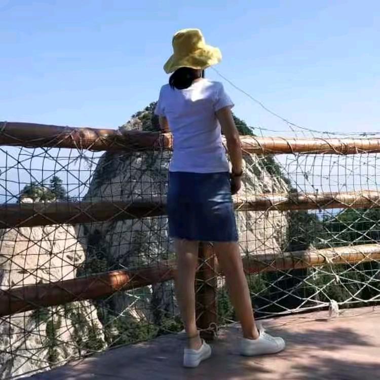 陈志锋