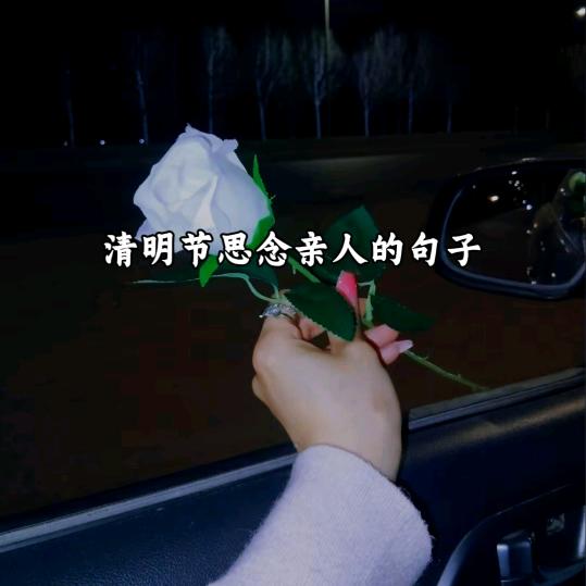 月光之心