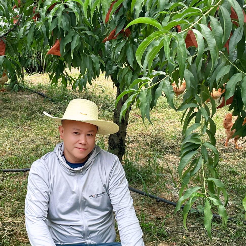 炎陵黄桃&三分地农品