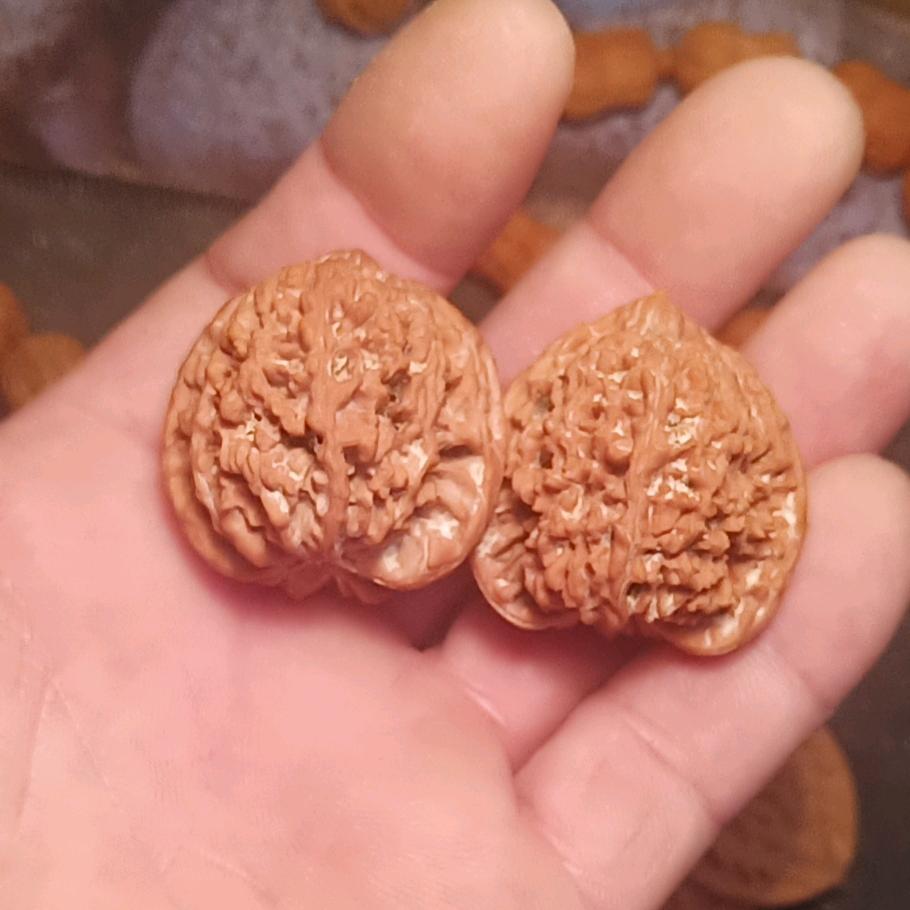 福地❤核气生财❤