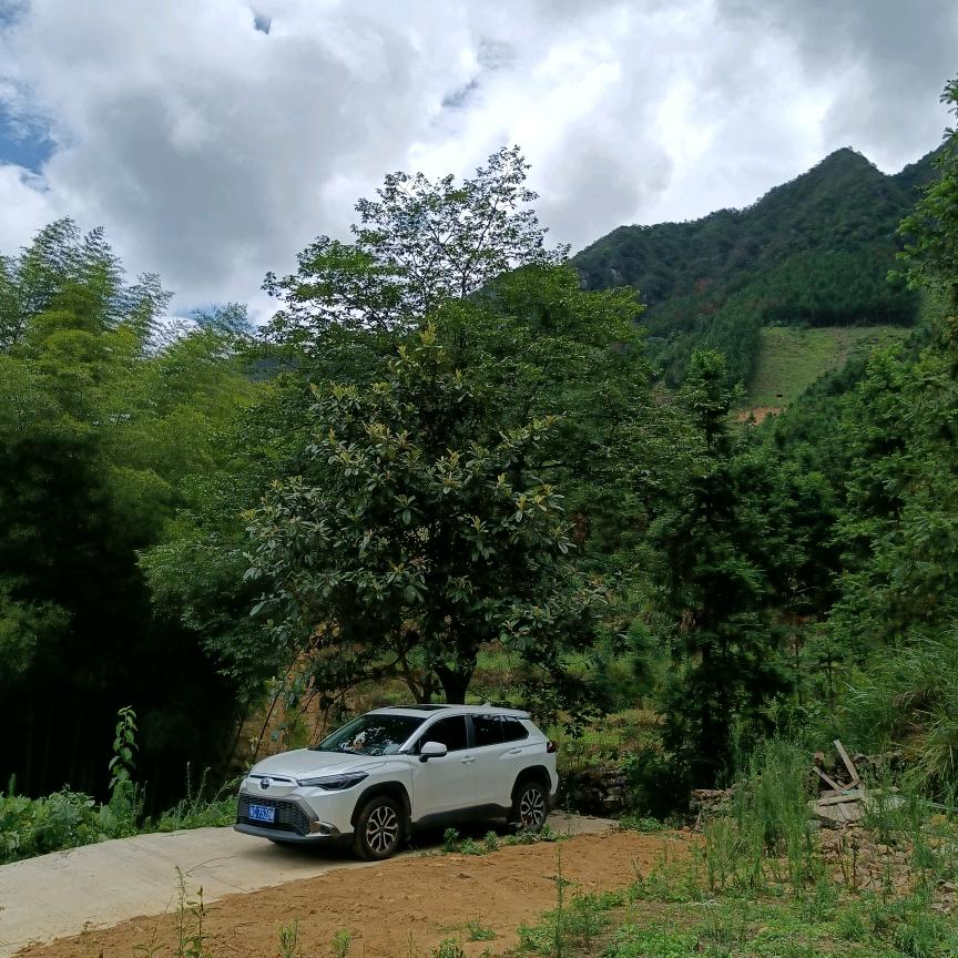独自去旅行