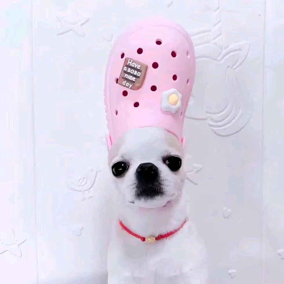 乄yx.