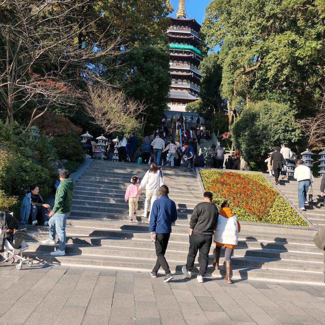 每天都要开开心心的。🌻🌻🌻