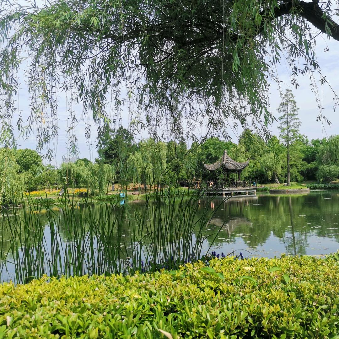 幸福妈咪