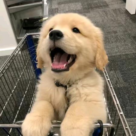 大喊大叫自己想你睡不着哦嘴巴手机