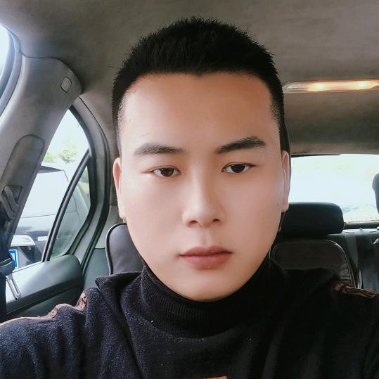 子龙