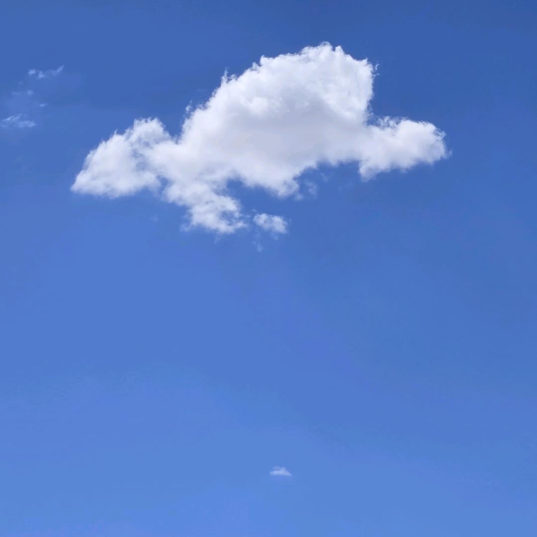 君尔༊