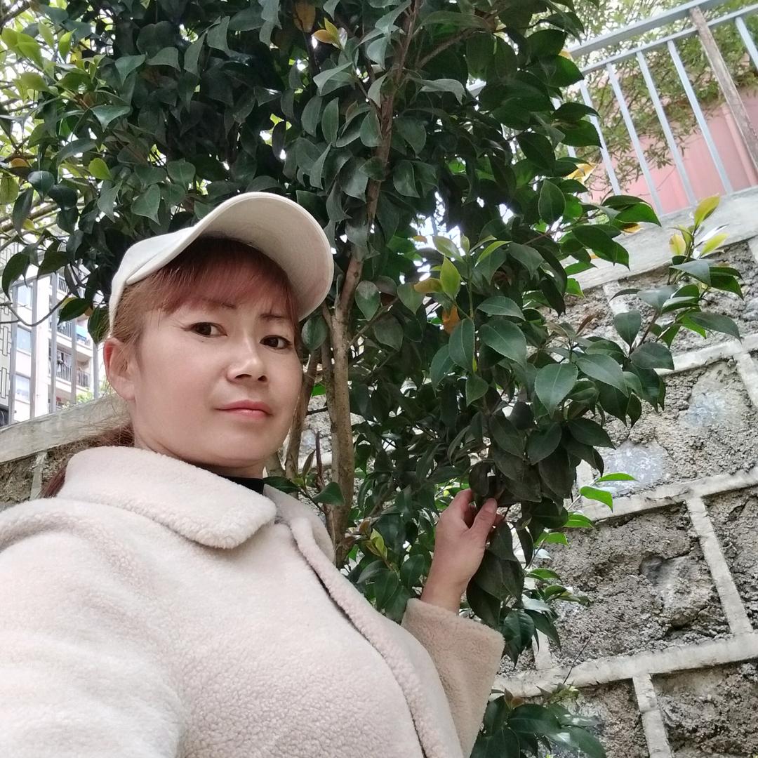 单小姐