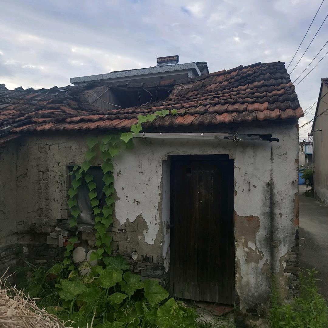 用户4981785594053