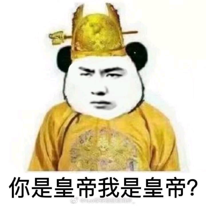 梧桐树结出了坚果