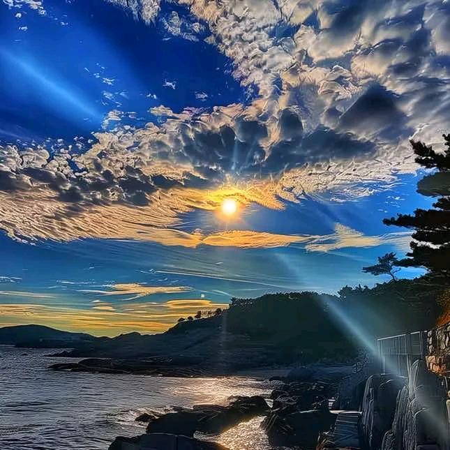 大海.