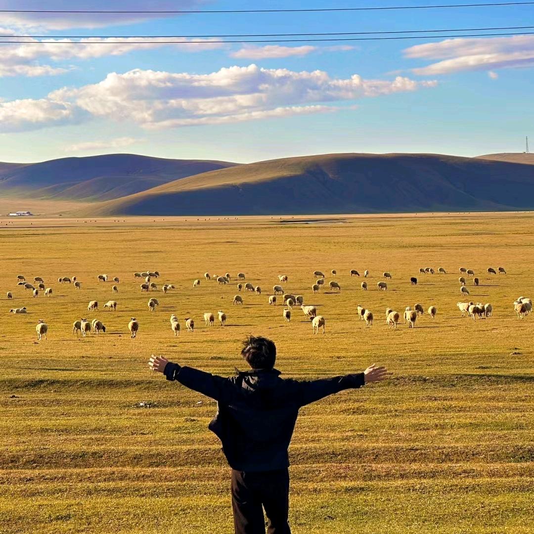 郑宇Travel（领队版）