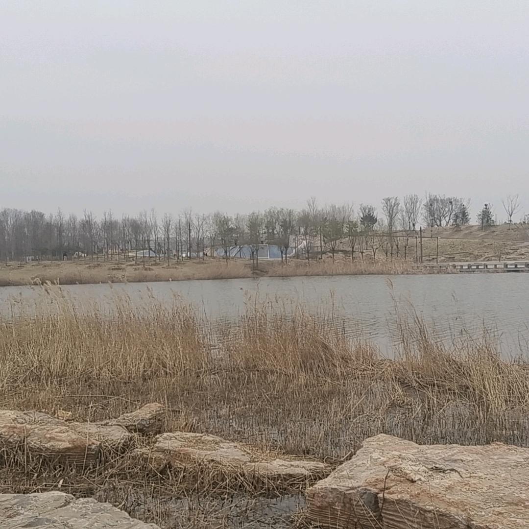 去看海498