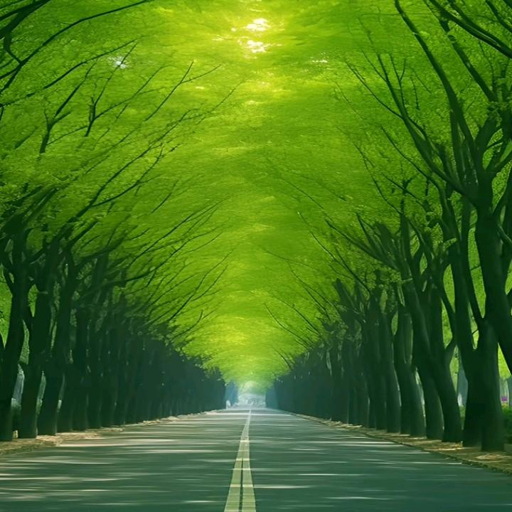 壹玖捌捌