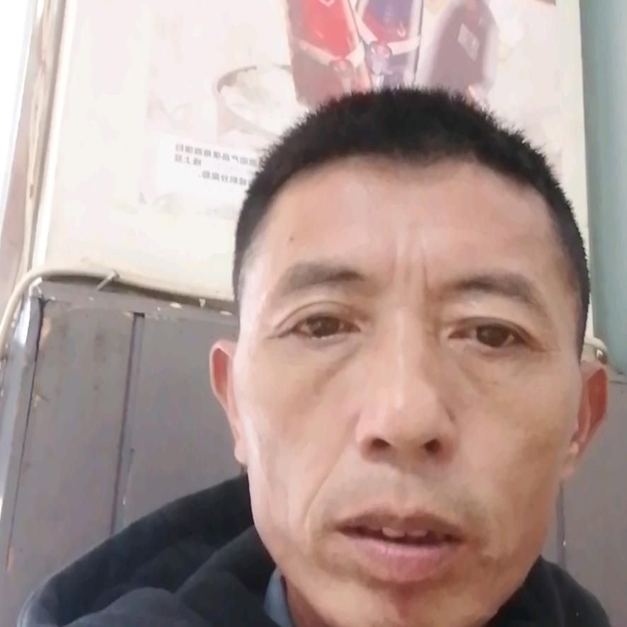 罗三伏