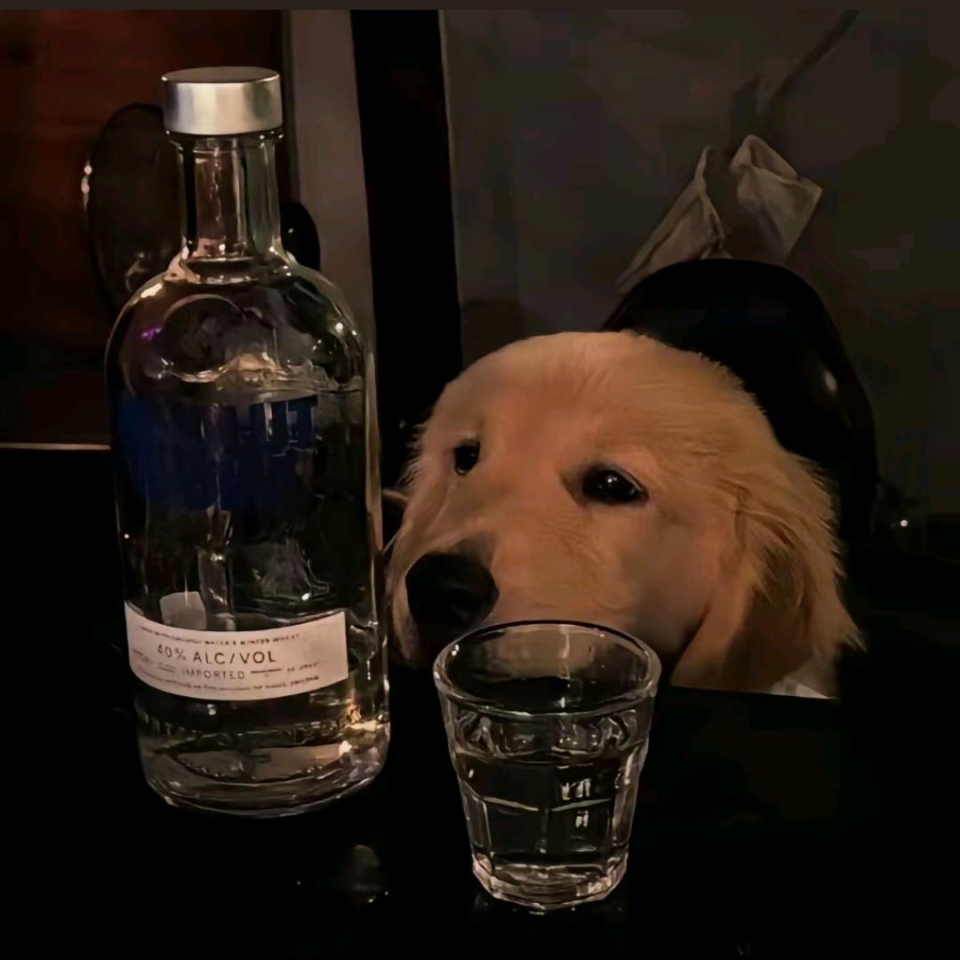Xiiiii
