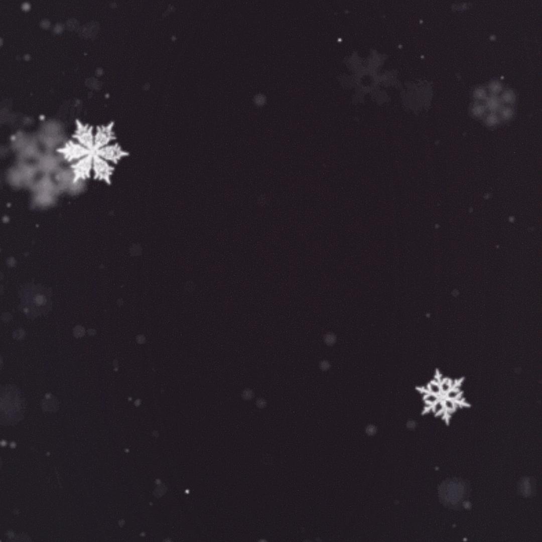 限量版电饭锅🧷