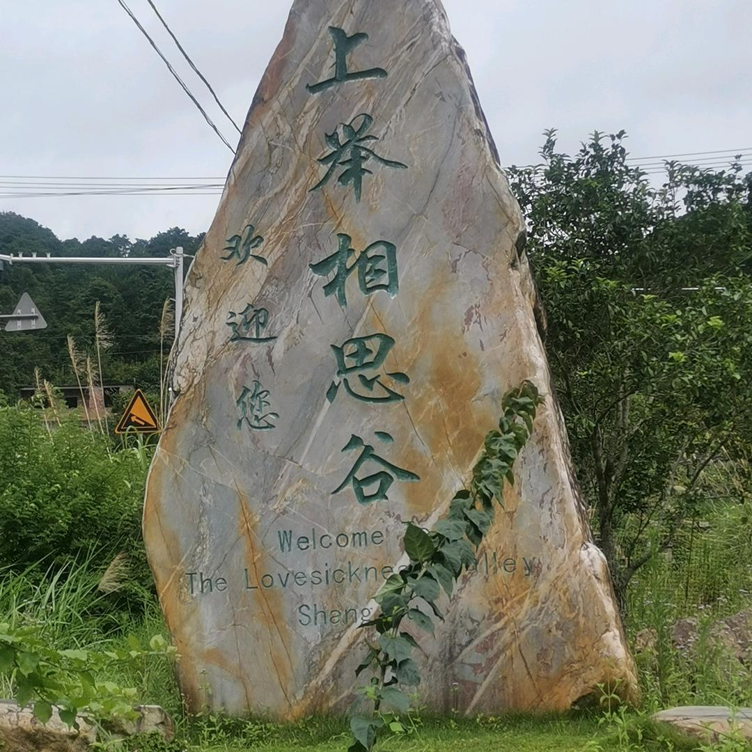 吴生（上举相思谷灵芝）