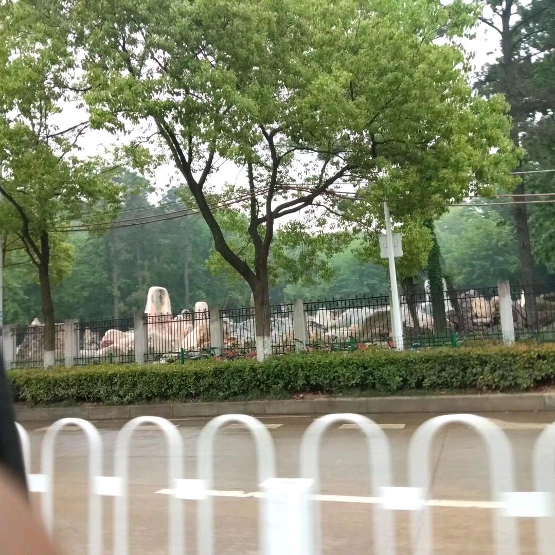 (ง 刘•̀_•́)ง加油加油